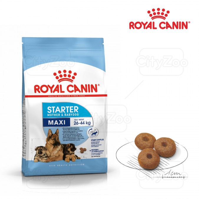 Thức ăn cho chó ROYAL CANIN MAXI STARTER MOTHER &amp; BABYDOG 4kg - thức ăn cho CHÓ MẸ VÀ CHÓ CON KÍCH CỞ LỚN