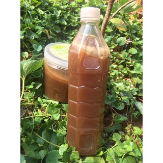 Mật ong hoa cà phê Gia Lai
