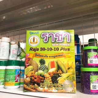 Phân bón lá Thái Lan Raja 30-10-10 Plus hộp 01kg