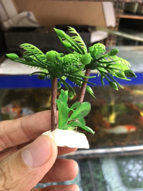 DỪA TRANG TRÍ HỒ CÁ NON BỘ CAO 7CM