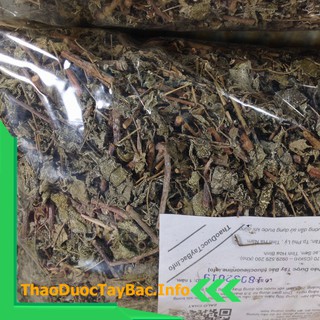 Cây Chè Dây [1Kg]