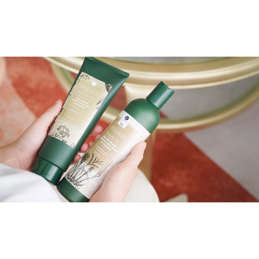 Gội Xả Chiết Xuất Gừng Hà Thủ Ô Weilaiya Zingiber Officinale Juice Bright Dầu Gội Thảo Dược Kích Thích Mọc Tóc