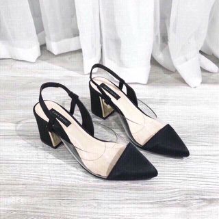 Cao hót Zara Basic