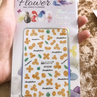 Sticker hoa cúc