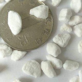 1Kg ĐÁ PERLITE (TRỘN GIÁ THỂ TRỒNG CÂY)
