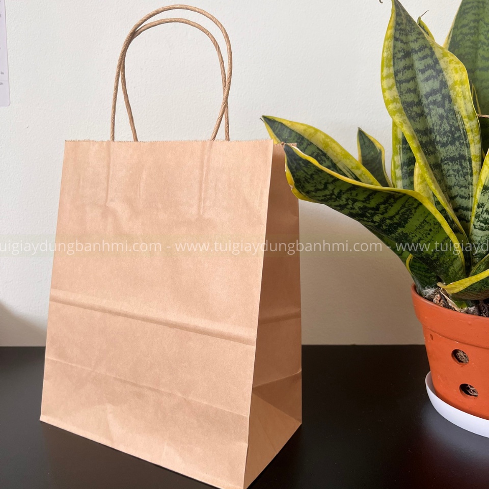 10 Túi giấy kraft có quai đựng thực phẩm, đựng quà nhiều kích thước, túi giấy xi măng đựng quà