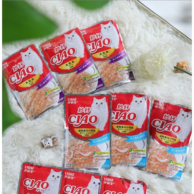 Pate CIAO gói 60g cho mèo - 6 vị siêu ngon