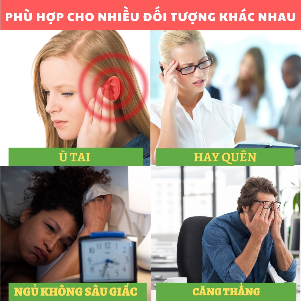 Ginkgo Biloba - Hỗ trợ chức năng não bộ, Giúp tăng cường lưu thông máu não, Hỗ trợ giảm rối loạn giấc (Hộp 100 viên)