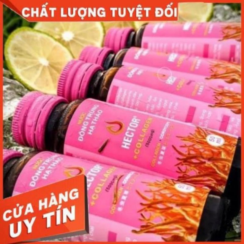 HECTOR COLLAGEN hộp 10 chai