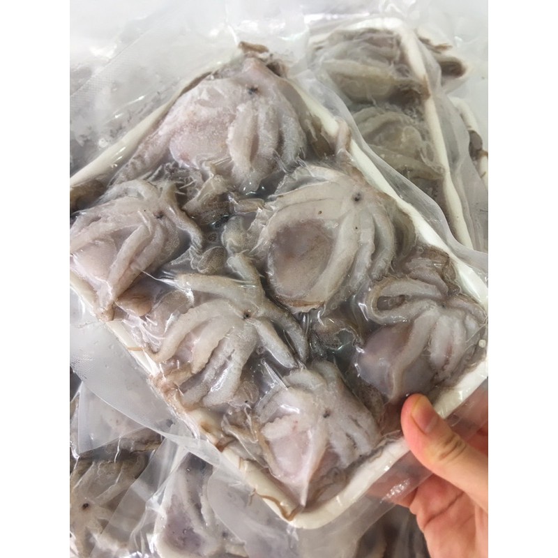 Bạch tuộc sữa làm sạch💥 GIÒN NGON💥 ăn lẩu , nướng - Haidangfood