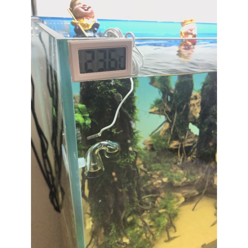 Nhiệt kế điện tử hồ cá- Thiết bị đo nhiệt độ hồ cá, thủy sinh