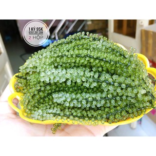 Rong nho tươi gò vấp - 1 ký