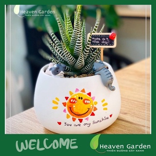 CÂY SEN ĐÁ MÓNG RỒNG KÈM CHẬU VẼ ĐỂ BÀN