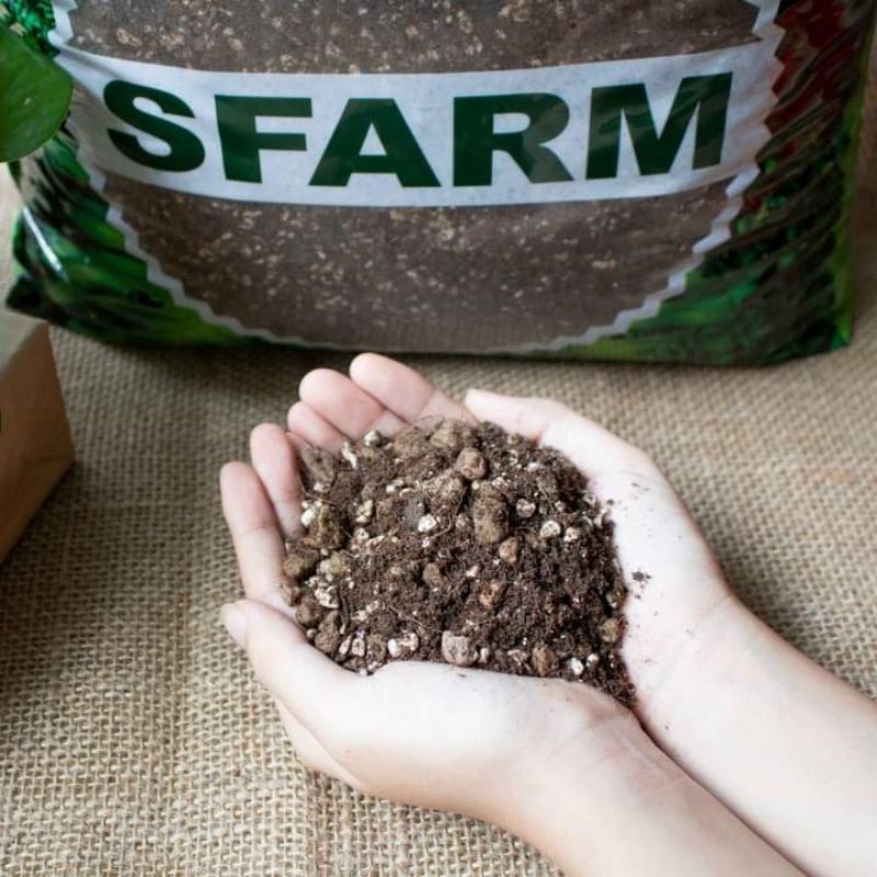 Giá thể trồng kiểng lá 17dm  - Đặng gia trang - sfram