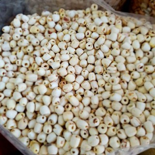 [500g] sen khô đồng tháp nấu chè loại 1