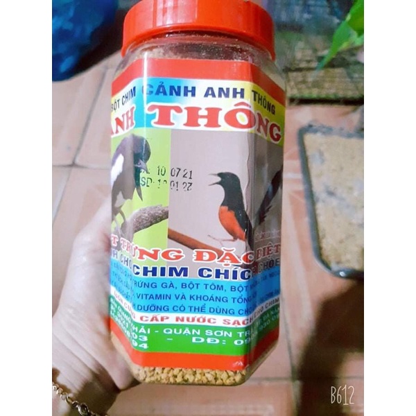 Cám Chích Choè Anh Thông