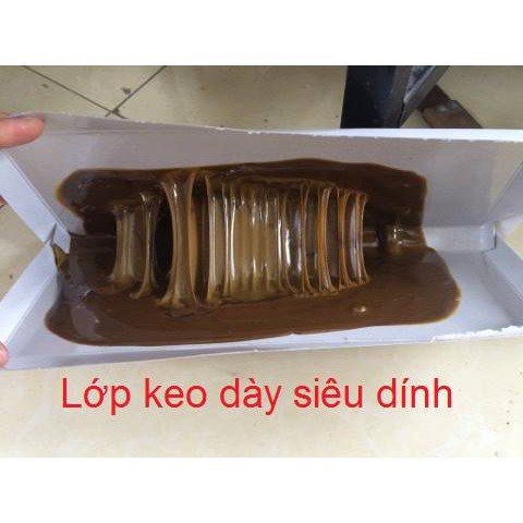 ( HOT ) Bẫy siêu dính chuột (dạng hộp trắng với lớp keo siêu dính)