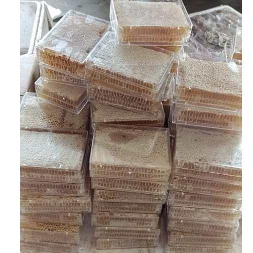 [HÓT HÓT]  MẬT ONG BÁNH TỔ (HÔP 500G) | BigBuy360 - bigbuy360.vn