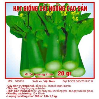 Hạt giống rau cải ngồng