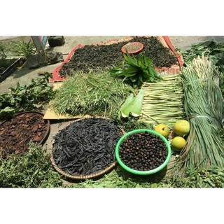 CAO BỒ KẾT THẦN KỲ