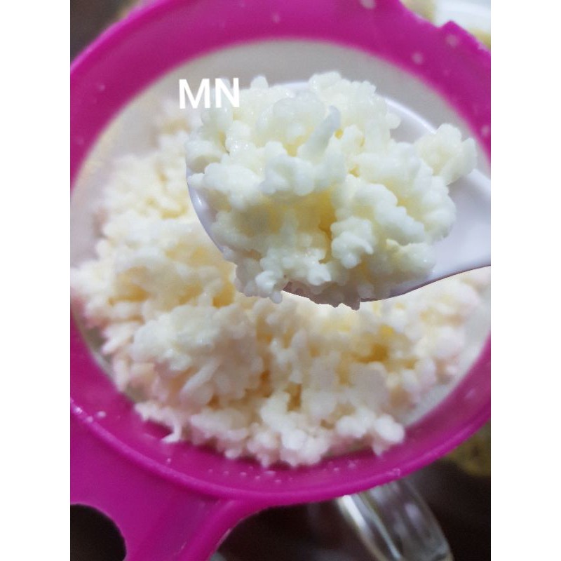 [ảnh thật]Nấm sữa kefri+ Rây lọc nấm.