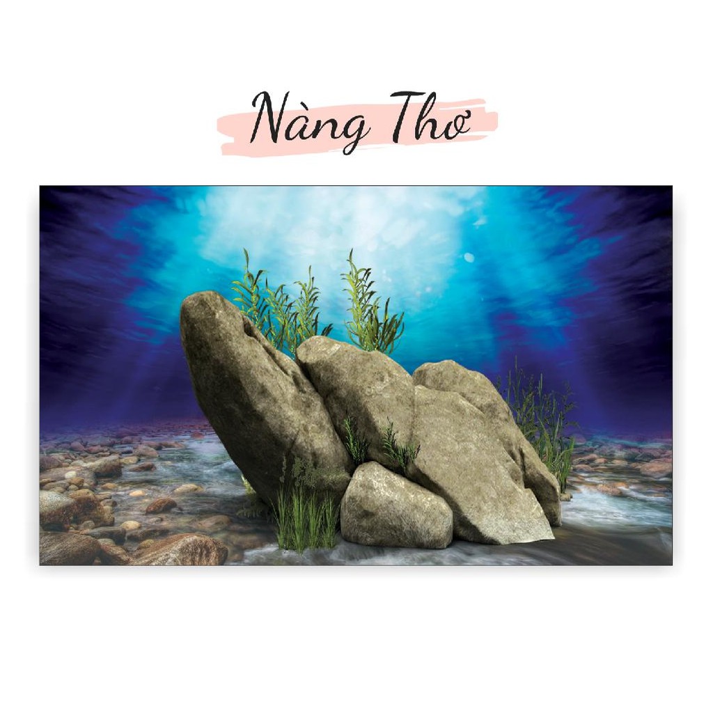 TRANH DECAL DÁN HỒ CÁ NHIỀU KÍCH THƯỚC_THIẾT KẾ NÀNG THƠ