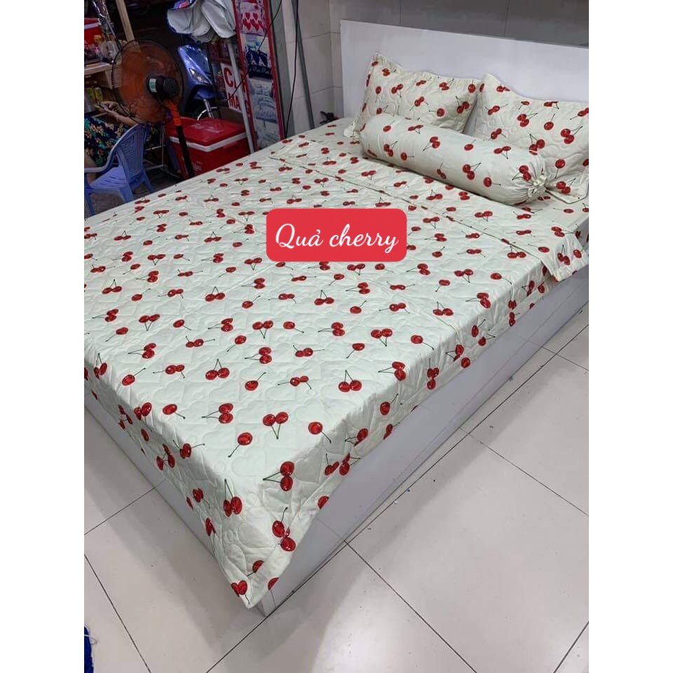Bộ Ga Gối Poly Cotton loại đẹp nhiều mẫu 1m,1m2,1m4,1m5,1m6