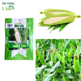Hạt giống bắp nếp dẻo Rado 936