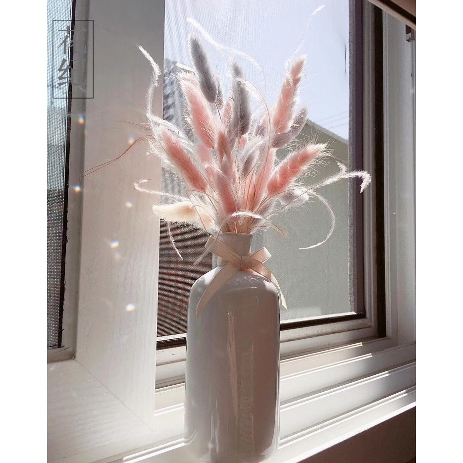 [combo] Hoa khô Lagurus Bunny Tails ❤️FREESHIP❤️ Cỏ đuôi thỏ Mỹ decor, dây thừng