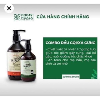 Combo dầu gội,dầu xả gừng
