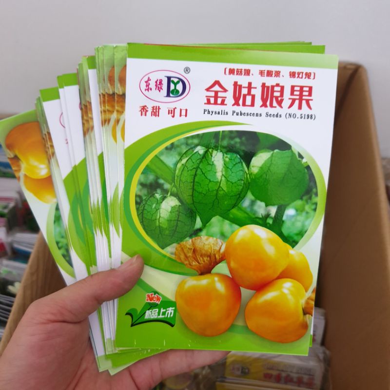 Hạt giống thù lù nam mĩ vàng và đỏ. Hàng Trung Quốc. Gói 2 gram. Tỉ lệ nảy mầm cao