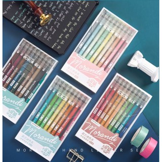 Combo 9 cây bút mực nước nhiều màu