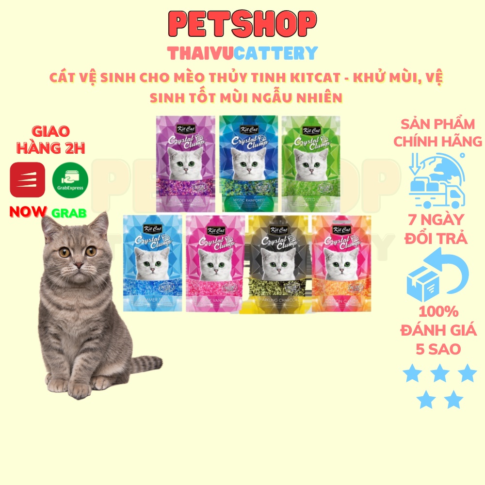 Cát vệ sinh cho mèo thủy tinh KITCAT - Khử mùi, vệ sinh tốt mùi ngẫu nhiên