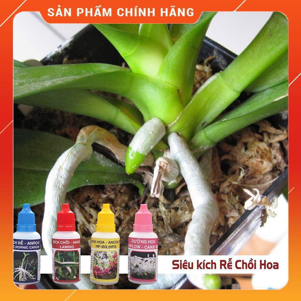 THUỐC kích siêu ra rễ ANROO 20ml