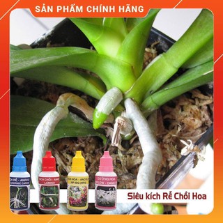 THUỐC kích siêu ra rễ ANROO 20ml