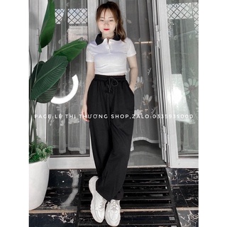 SET QUẦN JOGGER + CROP PETTER PHỐI CỔ