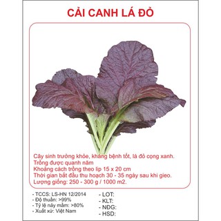 Kho buôn Hạt giống rau cải canh lá đỏ LUCKY SEEDS