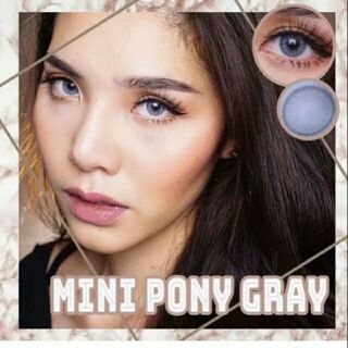 Lens xám tây - Lens gray