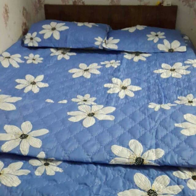 Chăn ga trần bông
