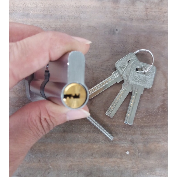 ruột ( tim ) khoá tay gạt loại nhỏ 29x70 lỗi đồng 1 đầu chìa