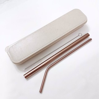 (Ảnh thật - HCM) Hộp 2 ống hút (Trân châu + cong) + cọ vệ sinh