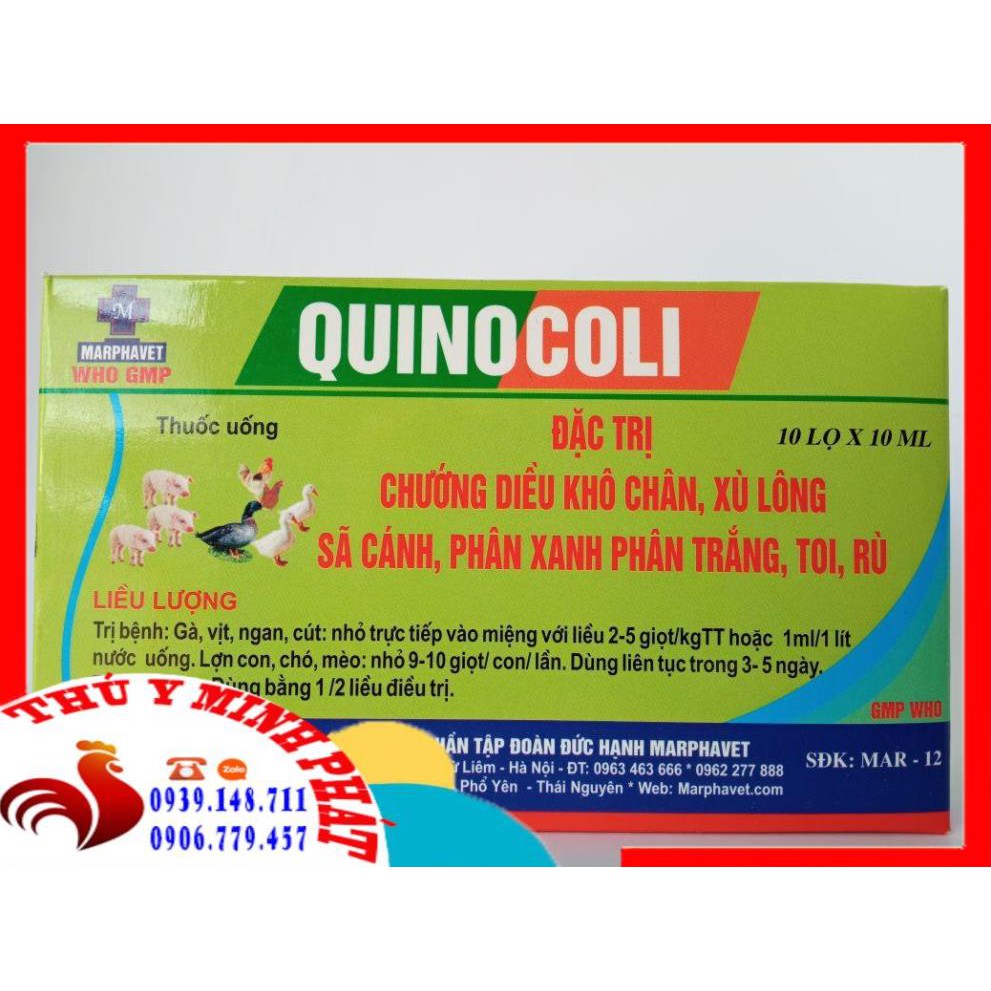 1 HỘP QUINOCOLI  CHƯỚNG DIỀU KHÔ CHÂN , XÙ LÔNG , SÃ CÁNH ,TOI , RÙ