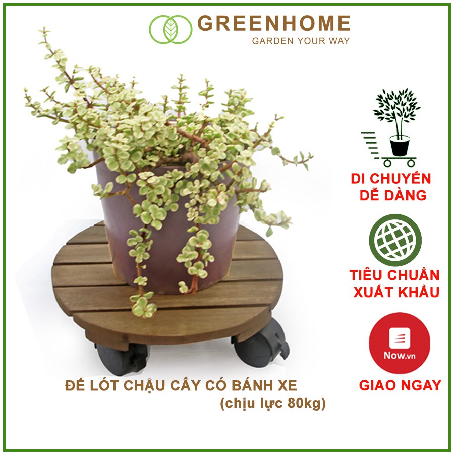 Đế lót chậu cây có bánh xe, hình tròn, màu đen, bằng gỗ, chịu lực 80kg, R30xC8cm |Greenhome