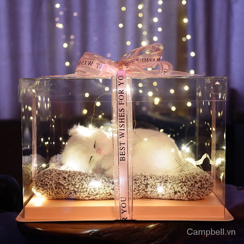 Hộp quà tặng sinh nhật sáng tạo dịp Lễ tình nhân cho bạn gái và bạn bè