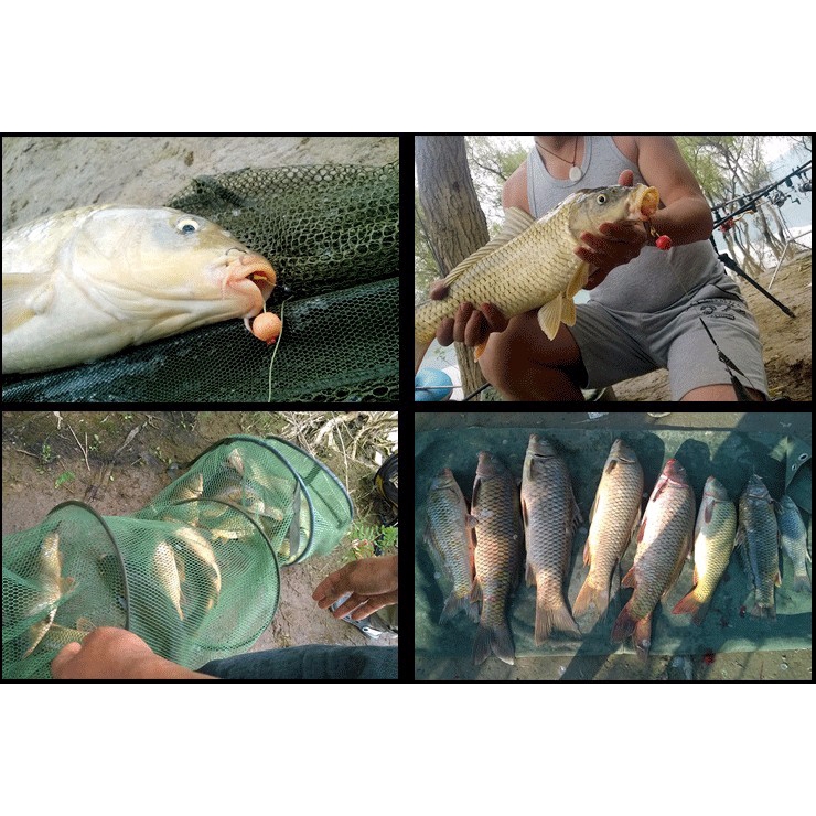 Hộp 30 mồi câu cá giả có mùi lựa chọn