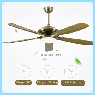 Quạt Trần Đèn Trang Trí Động Cơ DC Bảo Hành 10 Năm