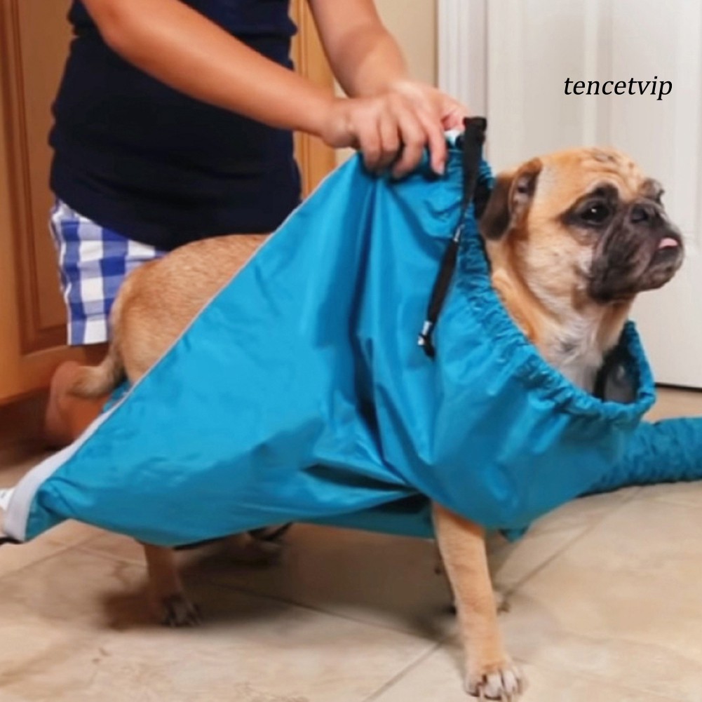 Máy Sấy Tóc Dùng Khi Tắm Cho Thú Cưng Tiện Dụng