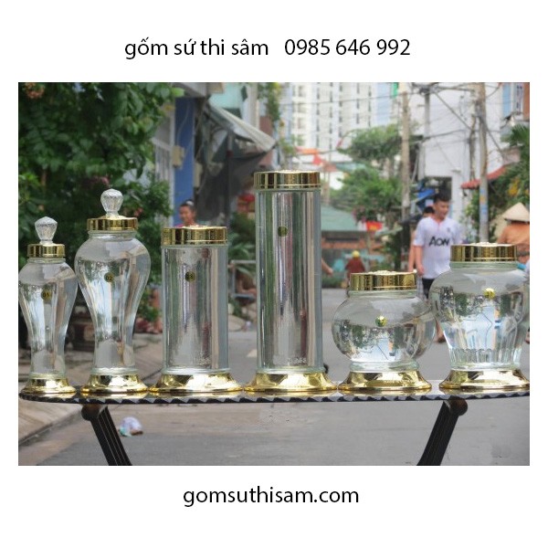 Bình thủy tinh ngâm rượu Việt Nam 10.8 Lít ngâm sâm, đinh lăng, táo mèo, linh chi