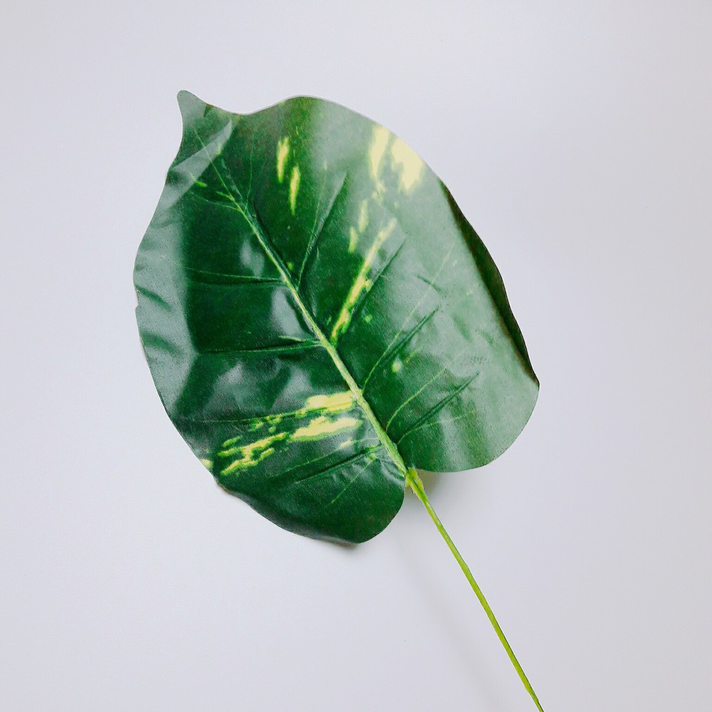 lá cây (Mã số 05)