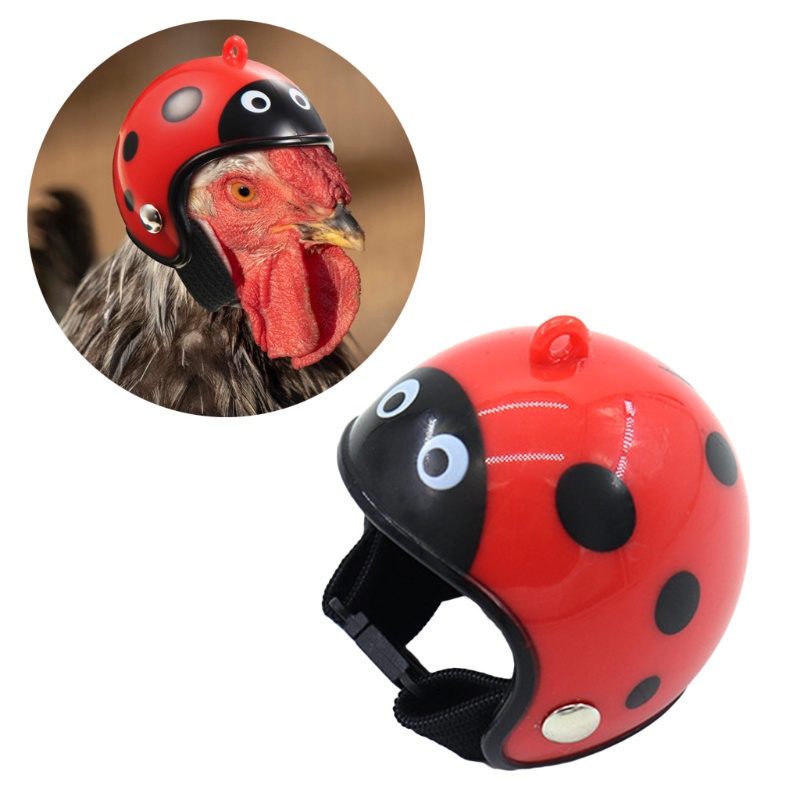 Mũ Bảo Hiểm Đồ Chơi Hình Chú Chim May Mắn Cho Chim Cảnh